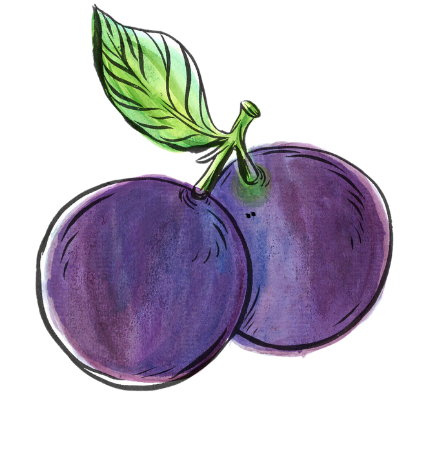 fruta 6.png