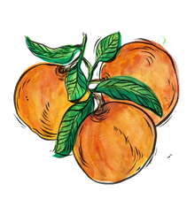 fruta 1.png