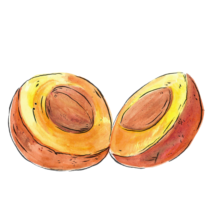 fruta 2.png