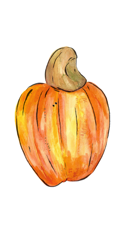 fruta 4.png