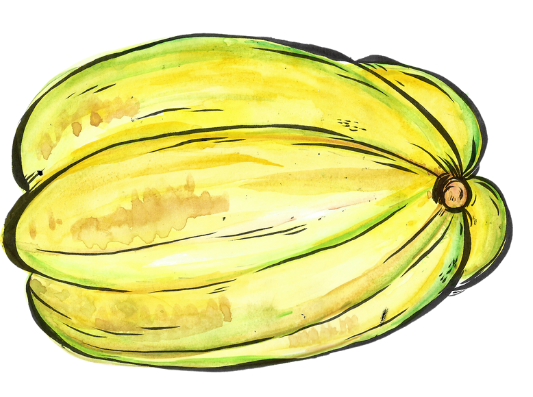 fruta 5.png