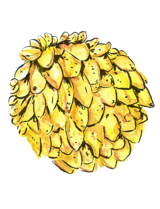 fruta 3.png